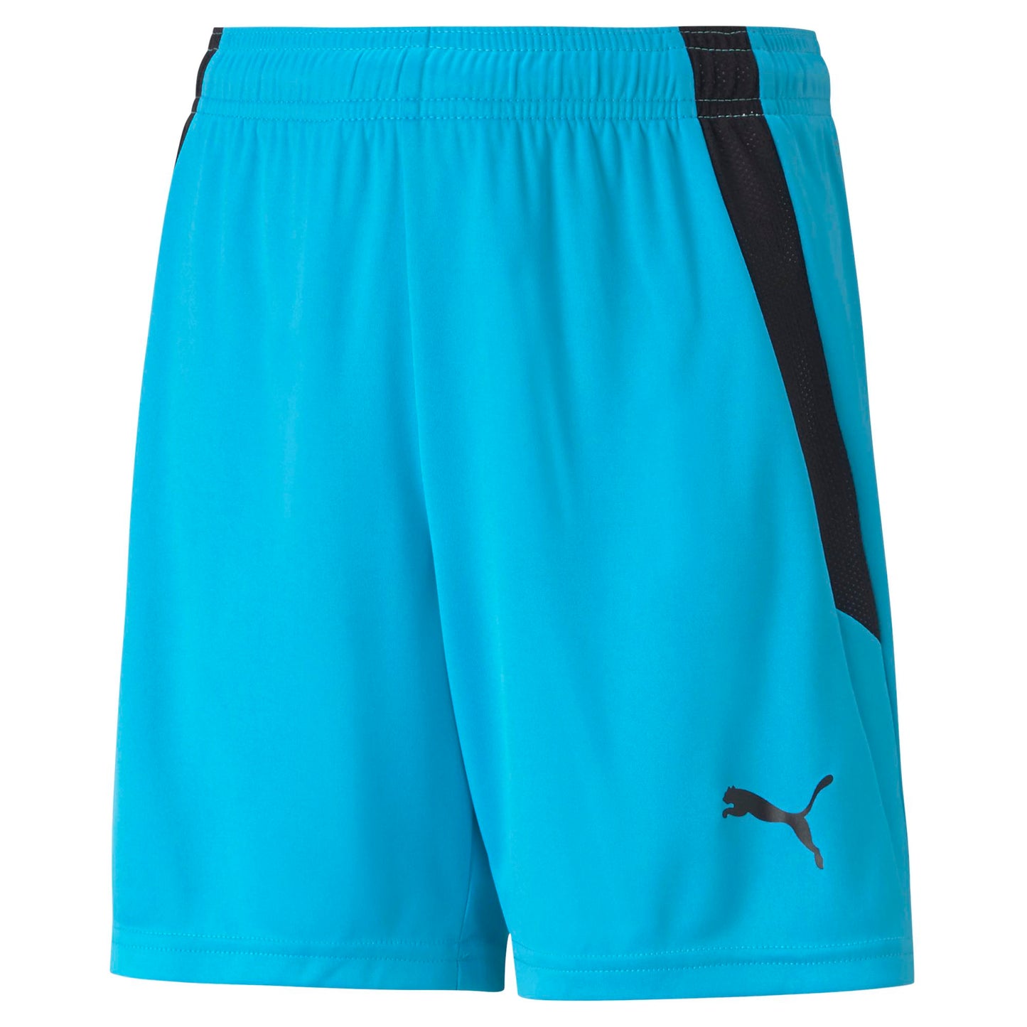 PUMA TEAM LIGA SHORTS SKY BLUE-ADULTS