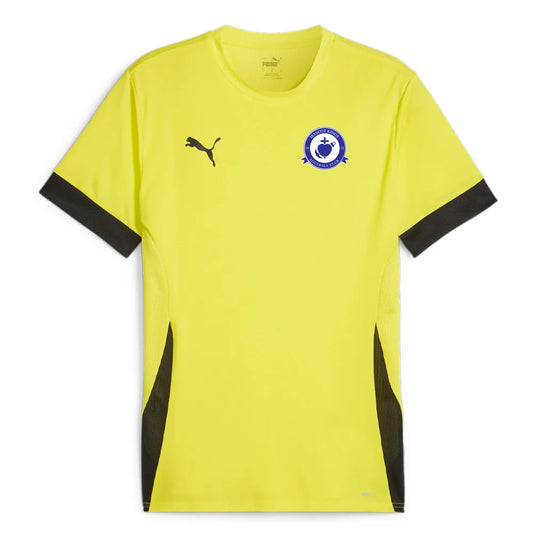 PUMA MASCOT KINGS FC TEAM GOAL MATCH JERSEY ADULT YELLOW