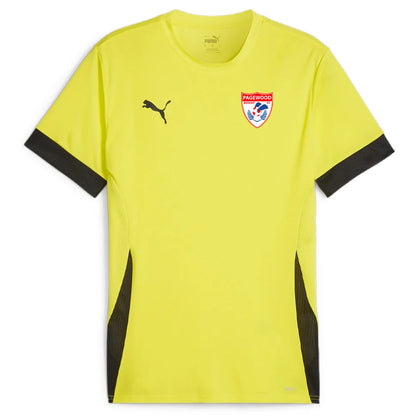 PUMA PAGEWOOD FC TEAM GOAL MATCH JERSEY ADULT YELLOW