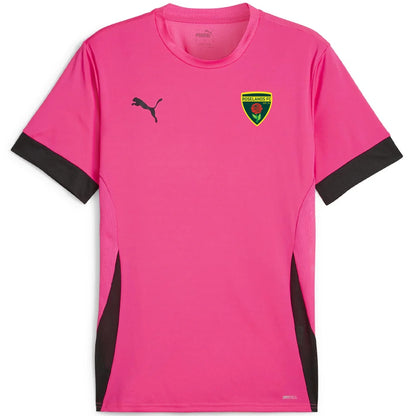 PUMA ROSELANDS FC TEAM GOAL MATCH JERSEY ADULT PINK