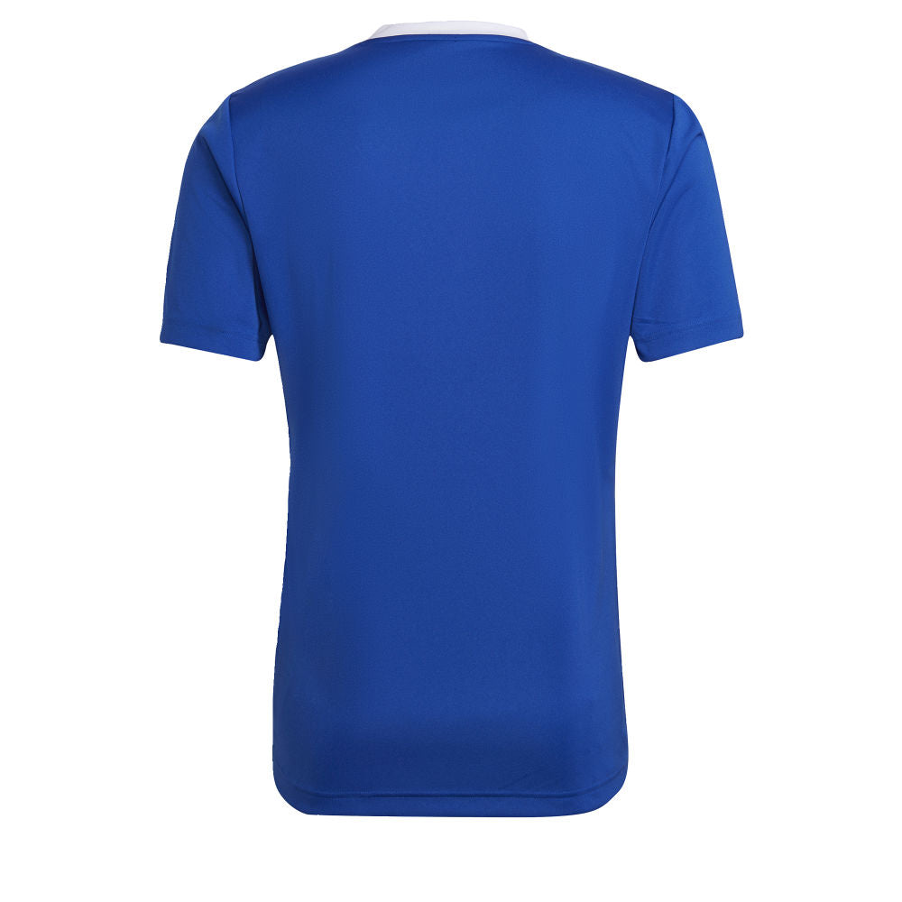 ADIDAS  ENTRADA 22 JERSEY TEAM ROYAL BLUE-MENS