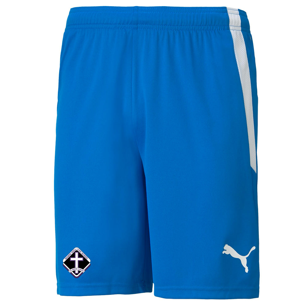 PUMA MAMRE TEAMLIGA SHORTS ELECTRIC BLUE-YOUTH