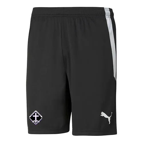 PUMA MAMRE TEAMLIGA SHORTS BLACK-YOUTH