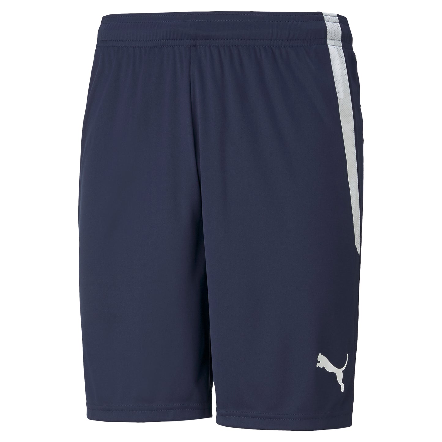 PUMA TEAM LIGA SHORTS NAVY-ADULTS