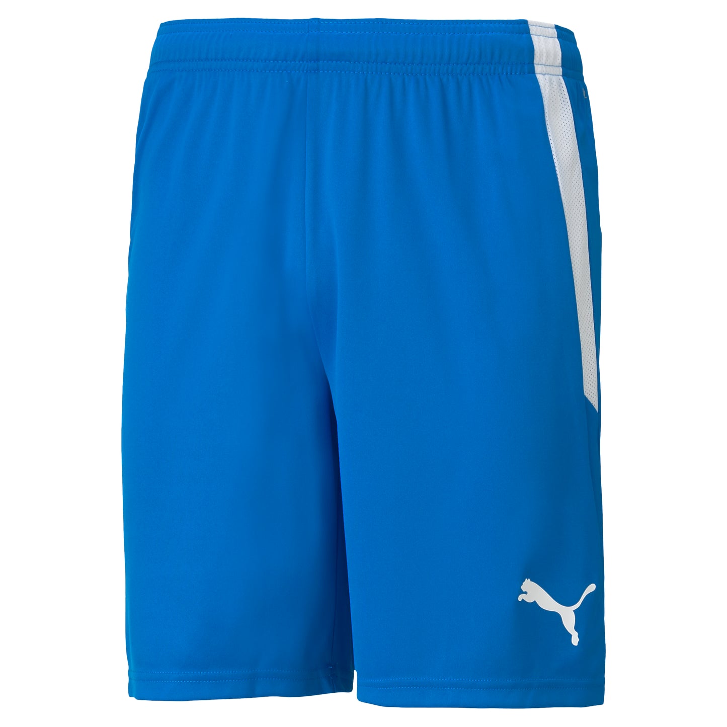 PUMA TEAM LIGA SHORTS ROYAL-ADULTS