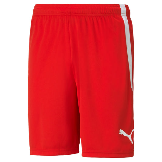 PUMA TEAM LIGA SHORTS RED-ADULTS