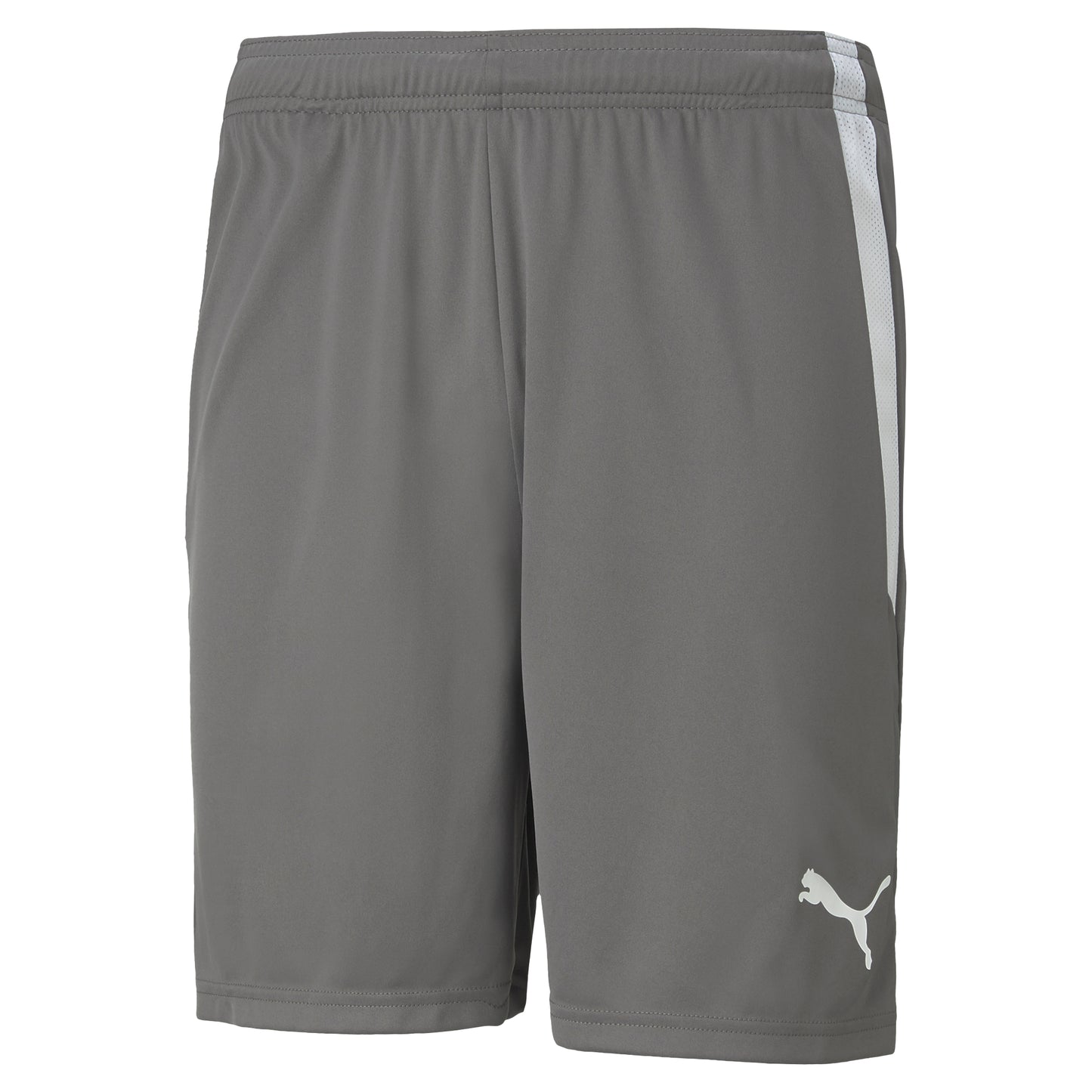 PUMA TEAM LIGA SHORTS STEEL GREY-ADULTS