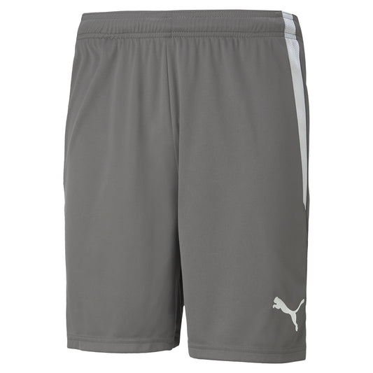 PUMA TEAM LIGA SHORTS STEEL GREY-ADULTS