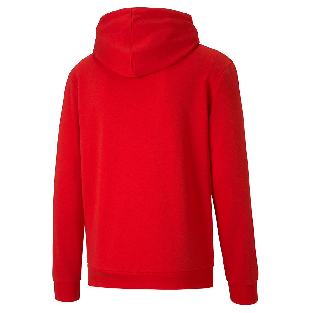 PUMA TEAM GOAL CASUAL HOODY RED-YOUTH