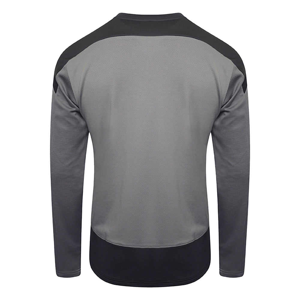 PUMA TEAM GOAL SWEAT GREY ASPHALT-ADULTS